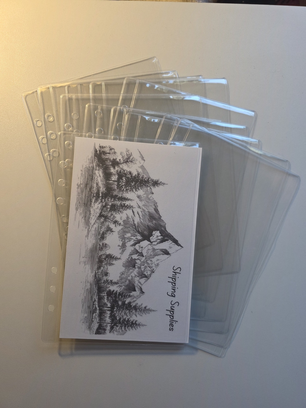 A5 Clear Plastic Binder Sleeves Set Of 12